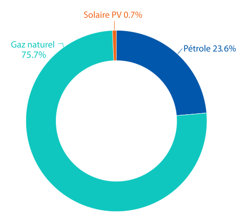 Figure 20 | Production d’électricité par source d’énergie au Bénin (2020)